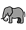 Safari sighting