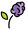 Aromatic herb