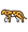 Camouflaged carnivore